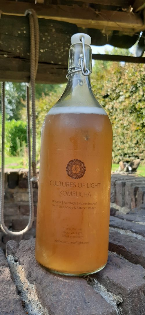 Kombucha by Cultures of Light