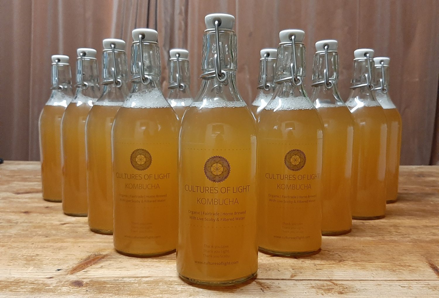 Cultures of Light Kombucha the line up