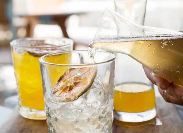 Kombucha serving tips cultures of light