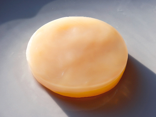 Scoby - Cultures of Light Kombucha